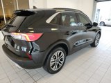 Used 2020 Ford Escape SEL image 4