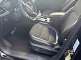 Used 2024 Ford Escape ST-Line w/ Tech Pack #1 image 4