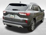 Used 2020 Ford Escape SEL image 5