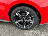 Used 2022 Ford Mustang GT w/ Equipment Group 301A image 4