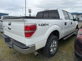 Used 2014 Ford F150 XLT w/ Equipment Group 302A Luxury image 3