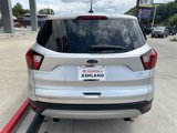 Used 2019 Ford Escape SE image 5