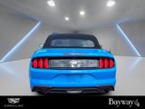 Used 2022 Ford Mustang Premium image 6