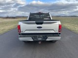 Used 2019 Ford F150 XLT w/ Equipment Group 302A Luxury image 6