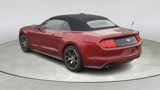 Used 2015 Ford Mustang Premium w/ Ecoboost Performance Package image 5
