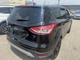 Used 2016 Ford Escape SE image 4