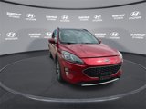 Used 2020 Ford Escape Titanium w/ Titanium Premium Package 2.0 image 3