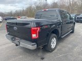 Used 2015 Ford F150 XLT w/ Equipment Group 301A Mid image 6
