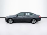 Used 2014 Honda Accord EX-L image 4