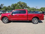 Certified 2021 Ford F150 Platinum w/ Equipment Group 701A High image 2