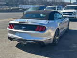 Used 2015 Ford Mustang Premium image 6