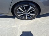Used 2023 Nissan Maxima SV w/ Floor Mat Group image 6