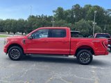 Used 2023 Ford F150 XLT w/ Equipment Group 302A High image 6