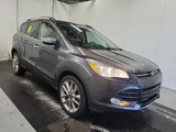 Used 2016 Ford Escape SE w/ SE Chrome Package image 2