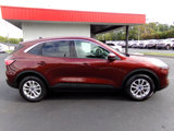 Used 2021 Ford Escape SE w/ Convenience Package image 2