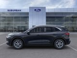 New 2024 Ford Escape Active w/ Tech Pack #2 image 3