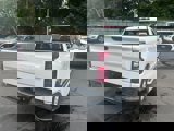 Used 2024 Chevrolet Silverado 1500 W/T w/ WT Fleet Convenience Package image 5
