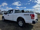 Used 2015 Ford F150 XL w/ XL Power Equipment Group image 3