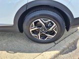 Used 2023 Kia Sportage LX image 6