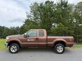 Used 2011 Ford F250 XLT w/ XLT Appearance Pkg image 4