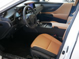 New 2025 Lexus ES 350 image 4