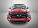 Used 2022 Ford F150 XLT w/ Equipment Group 302A High image 2