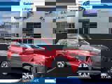 View Video