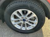 Used 2022 Ford Escape SE w/ Convenience Package image 5