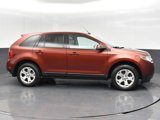 Used 2014 Ford Edge SEL w/ Equipment Group 205A image 4