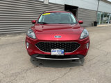 Used 2021 Ford Escape SEL w/ Technology Package image 3
