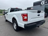 Used 2019 Ford F150 XL image 5