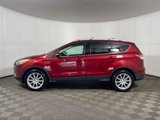 Used 2013 Ford Escape Titanium w/ Parking Technology Pkg image 4