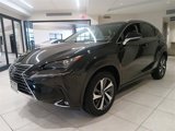 Used 2019 Lexus NX 300 AWD image 5