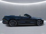 Used 2022 Ford Mustang Premium image 3