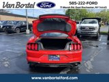 Certified 2020 Ford Mustang Premium w/ Equipment Group 201A image 5