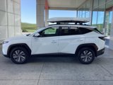 Used 2022 Hyundai Tucson Blue w/ Cargo Package image 5