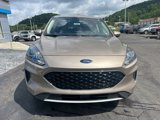 Used 2020 Ford Escape SE image 2