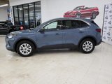 Certified 2023 Ford Escape Active image 4