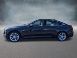 New 2025 Cadillac CT5 Premium Luxury image 2