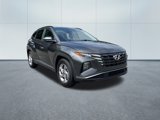 Used 2024 Hyundai Tucson SEL image 4