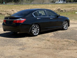 Used 2014 Honda Accord Sport image 6