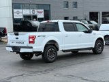 Used 2019 Ford F150 XLT w/ Equipment Group 302A Luxury image 3