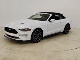 Used 2019 Ford Mustang Premium image 4
