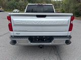 Used 2020 Chevrolet Silverado 1500 LT w/ All-Star Edition image 4