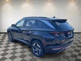 Used 2024 Hyundai Tucson Limited image 5