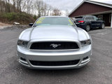 Used 2014 Ford Mustang Coupe w/ Equipment Group 102A image 2
