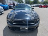 Used 2014 Ford Mustang Coupe w/ Equipment Group 102A image 2