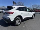 Certified 2022 Ford Escape SE w/ Convenience Package image 5