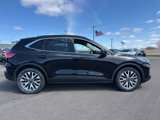 Certified 2020 Ford Escape Titanium w/ Titanium Premium Package 2.0 image 5