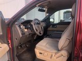 Used 2013 Ford F150 XLT w/ Luxury Equipment Group image 3